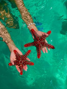 Занзибар с водач - хотел Fruit & Spice Wellness Resort 5*