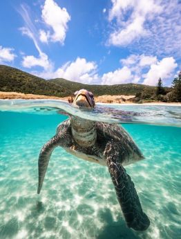 Сейшели - хотел Canopy By Hilton Seychelles 4*