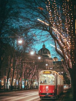 Коледен шопинг във Виена