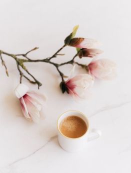 СПА почивка в хотел Стримон Гардън 5*