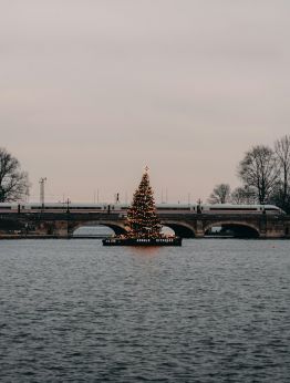 Хамбург в коледни светлини