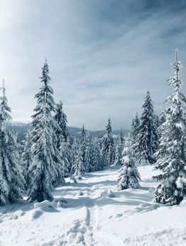 Principe Di Marmolada 3*, Италиански алпи