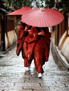 Япония-между древност и бъдеще