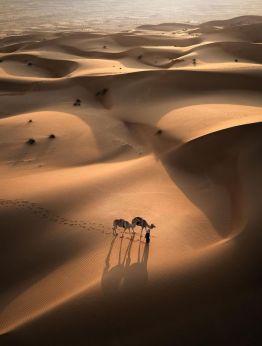 Оман-перлата на Арабския залив