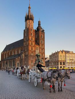 Опознай Полша:от Краков до Гданск