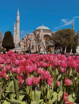Фестивалът на лалетата в Истанбул
