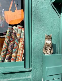 Изник-Бурса-Ескишехир