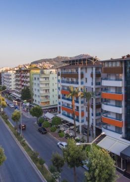 LONICERA CITY KLEOPATRA